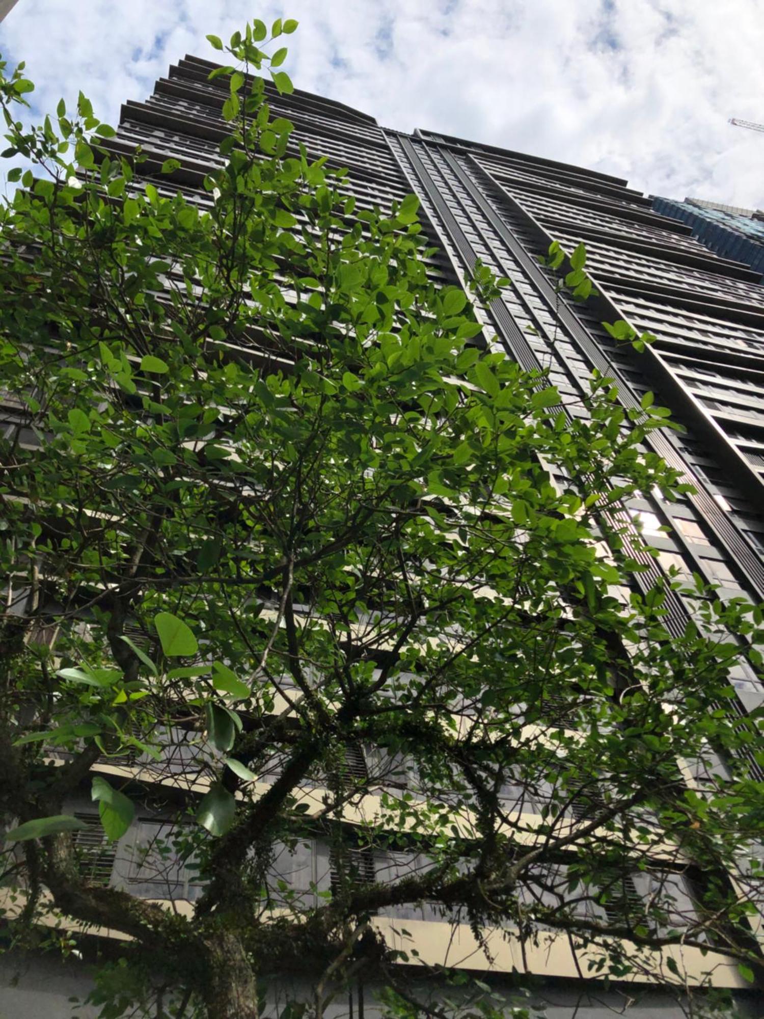 8 Kia Peng Suites Klcc By Luna 吉隆坡 外观 照片